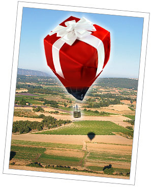 bon cadeau montgolfiere
