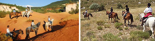 Chevaux