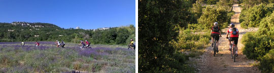 VTT